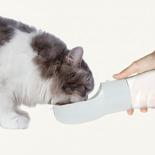 Traveling Out Portable Pet Water Dispenser