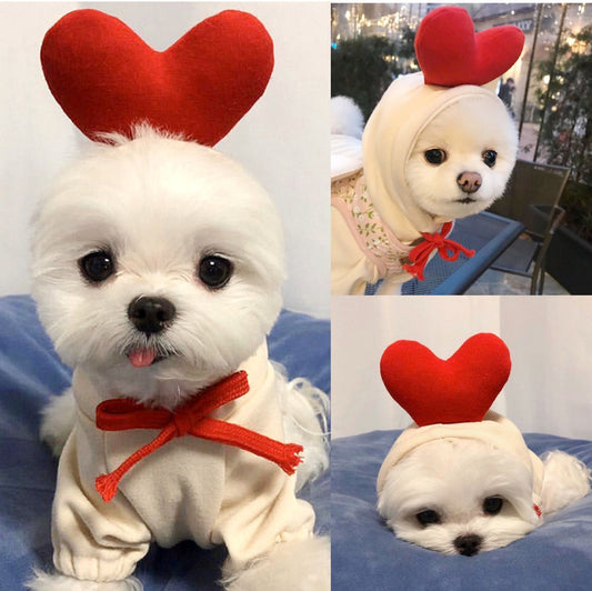 Cute Fruit Dog Clothes Hoodies Pet Outfit