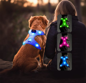 Lighted Up USB Rechargeable Pet Harness