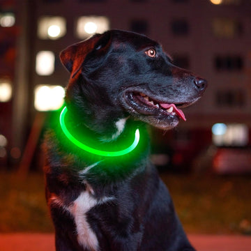 Rechargeable Flash Dog Necklace Light
