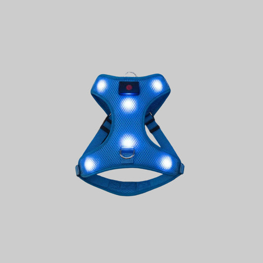 Lighted Up USB Rechargeable Pet Harness